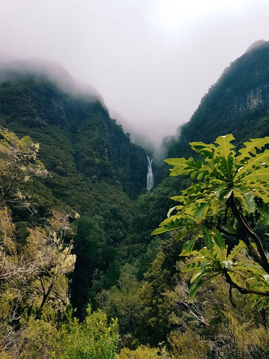 Tal mit Wasserfall und Nebel im Lorbeerwald auf Madeira